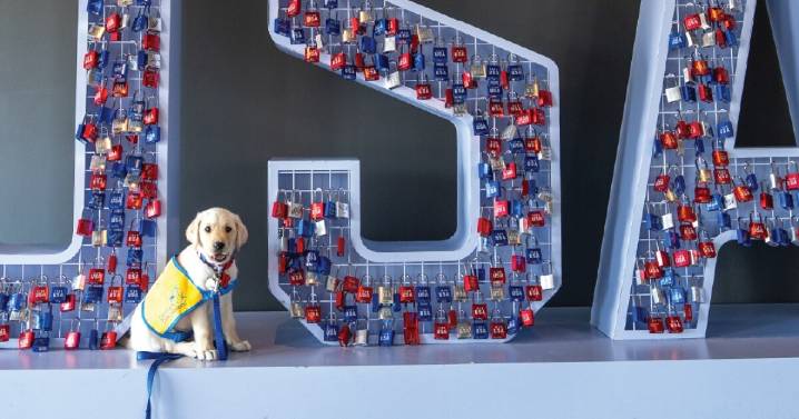 Puppy begins training to become service dog at the Olympic and Paralympic Museum