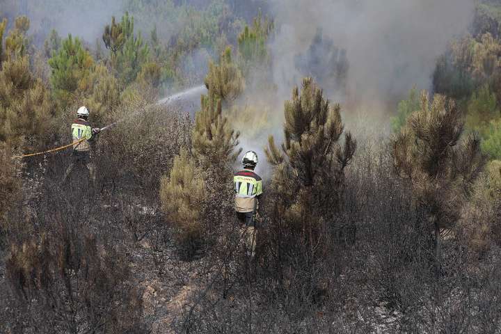 Los agentes medioambientales critican que la Junta es “incapaz” de mejorar el operativo de incendios pese a duplicar la inversión desde 2022