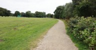 Woman killed by falling tree branch 'in front of child' at popular UK park