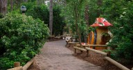 'Real change' for guests at Center Parcs in Sherwood Forest as improvements confirmed