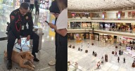 Perrito "va de compras" solo en Perisur tras ser abandonado; policías y una influencer lo rescatan