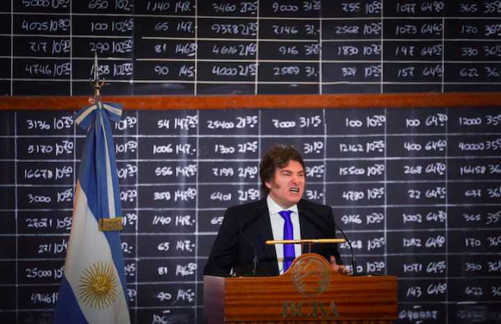 El Gobierno estudia una medida para el sector de discapacidad si Diputados ratifica los vetos de Milei