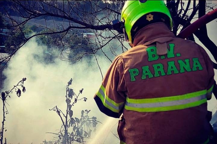 Hallaron un perro “colgado y calcinado” en un incendio intencional en Paraná