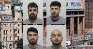 Burglary gang took £46,000 worth of vapes in warehouse break