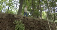 Mequon wetland restoration project aims to reduce flooding, erosion near Lake Michigan bluffs