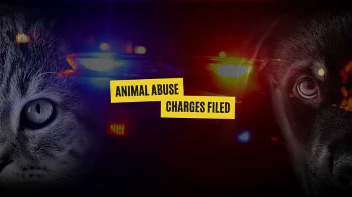 Centre County man charged after dog starves to death