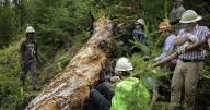 Clearing the way: Volunteers keep The Bob wild and accessible