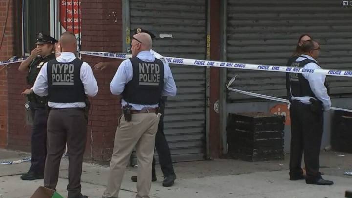 Three killed and eight hospitalised after shooting in New York bar