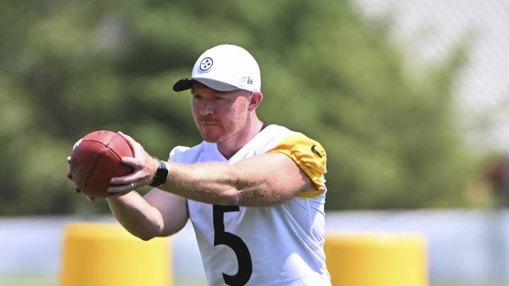 Report: Steelers cut P Cameron Johnston