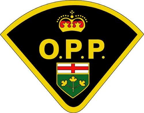 UPDATE: Grey Road 4 Reopens Near Flesherton After Police Pursuit