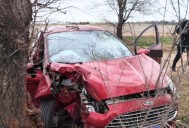Murió un adolescente de Catriló luego de un choque de un auto contra una planta
