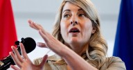 Joly: Visits to Saab, Lockheed 'normal' part of her job amid F