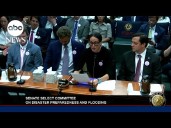 Texas parents who lost children in Camp Mystic flooding speak at hearing