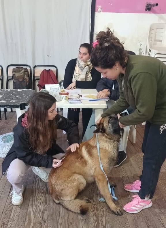 Castraron y vacunaron mascotas en Ugarte