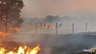 El incendio forestal de Cipérez, el más extenso de la historia en Salamanca, ha consumido 10.500 hectáreas
