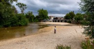 Parched England leaves wildlife and farmers living on a knife edge after drought