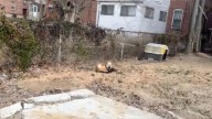 Missouri Pup Left Chained And Alone Experiences A Life