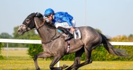 Filly on the up to star at Kempton Park - Jason Heavey's Tuesday tips