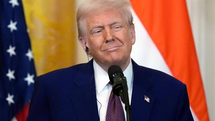 Appellate judges question Trump's authority to impose tariffs without Congress