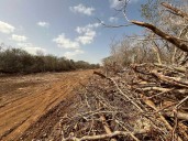 YUCATÁN | Tribunal agrario interviene ante intentos de privatización en Misnébalam