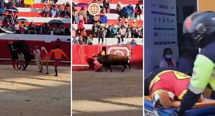 Huamachuco: vaca atacó a comediante durante espectáculo en plaza de toros