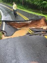 Appalachia Will Get More Frequent Hurricanes and More Intense Storms