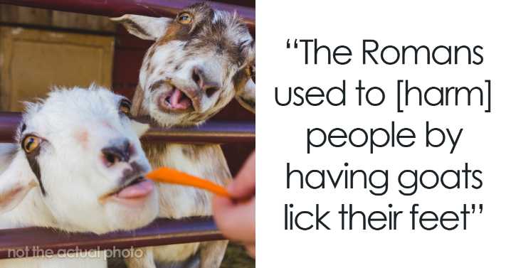 51 Disturbing Facts That Don’t Help To Sleep At Night