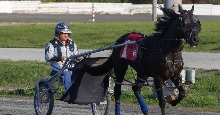 'Part of me is gone': Abrupt end for Fraser Downs track a blow to B.C. horse racing