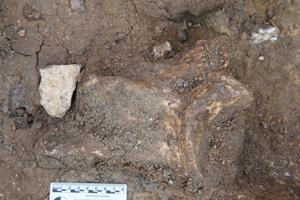 Ancient humans went the extra mile (literally) for quality stone tools