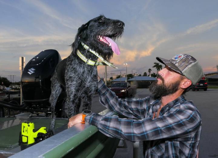 Buffalo Bills defender hunts pythons with Florida dog's help