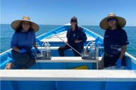 Daniel Madariaga visibiliza liderazgo de mujeres en el Mar de Cortés