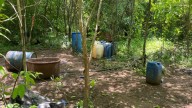 Operación Frontera Norte: Millonario Aseguramiento de Material para Elaborar Drogas en Culiacán