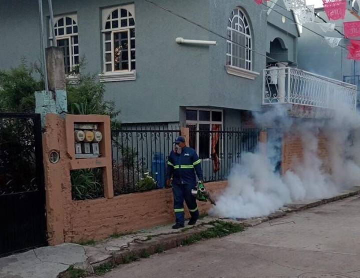 Refuerzan fumigación contra el dengue en Zamora