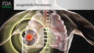 Novel Drug for HER2-Mutant Lung Cancer Wins FDA Approval