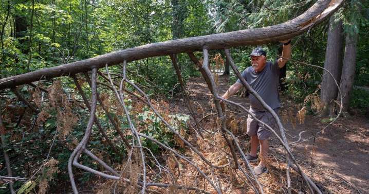 Resident sounds alarm over wildfire hazards in Jackson Park
