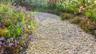 Gravel Vs Rocks: Which Is Best For Your Garden And Yard Paths?