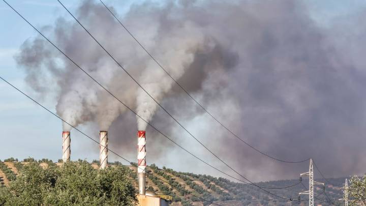 Revocación de Normas Ambientales: Una Amenaza para la Salud Humana y el Cambio Climático, según Científica de la National Wildlife Federation