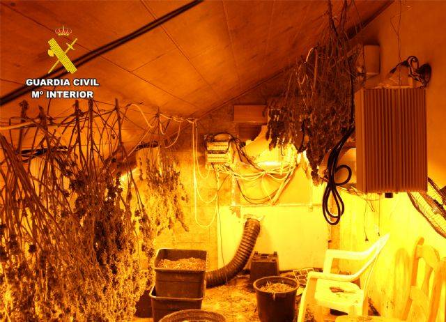 Una denuncia de maltrato animal destapa un secadero de marihuana en Murcia
