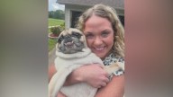 ‘We just want to know she’s safe,’ Parents of missing Bradford teen praying for her safety