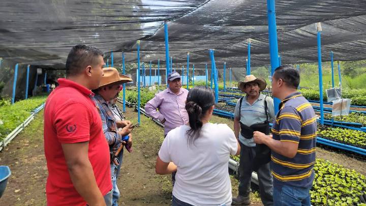 Rescatar glaciar Jamapa del Pico de Orizaba es urgente, dice ambientalista; invitan a jornadas de reforestación