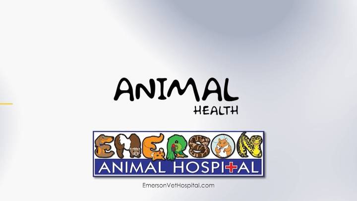 Animal Health (Adicus)