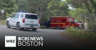 Man's body found in marshes near Provincetown airport