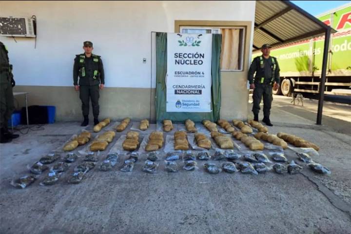 Detectan encomienda con 50 kilos de marihuana y detienen a quien la fue a retirar