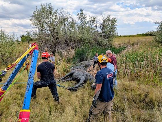 Crews rescue 26-year-old mare from mud pit in rural Boulder County