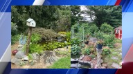 Two private gardens in western Mass. open to the public for one day only
