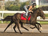 Scorching gives trainer chance to live King's Plate dream