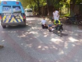 Motociclistas derrapan al intentar evitar atropellar a perros
