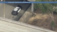 Alleged reckless driver taken into custody after off-roading, abandoning vehicle