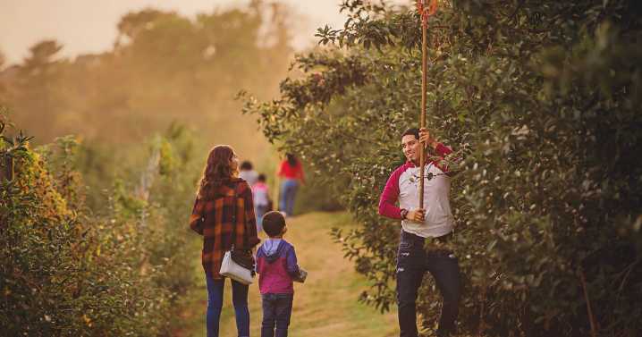 Apple Festival returns to Linvilla Orchards Sept. 27 with fall activities for families