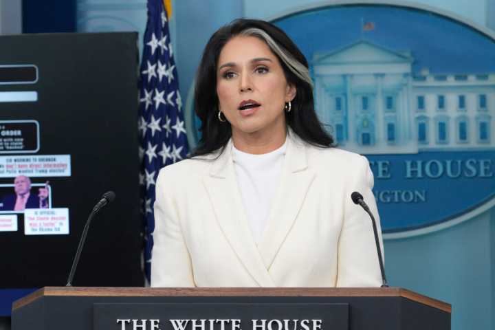 Tulsi Gabbard Gutting Almost Half of Her Workforce in Massive New Cuts